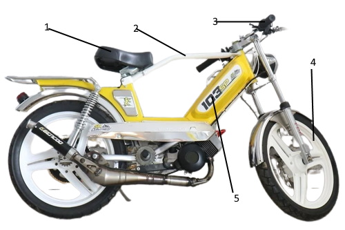 customize your moped